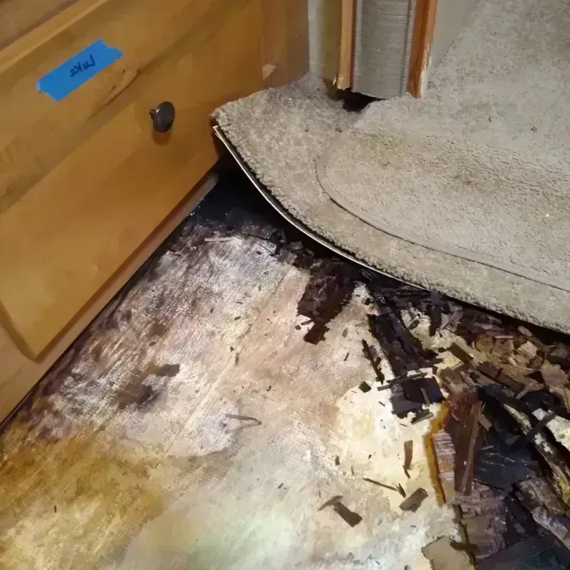 Wood Floor Water Damage in Huron County, OH